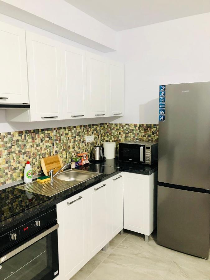 New And Modern Apartments In Villa, Near City Center M36 Timisoara Ngoại thất bức ảnh